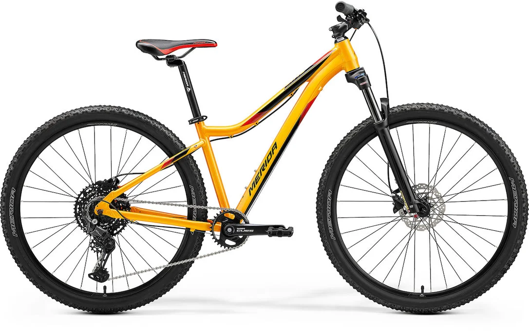 bike-alm3731226