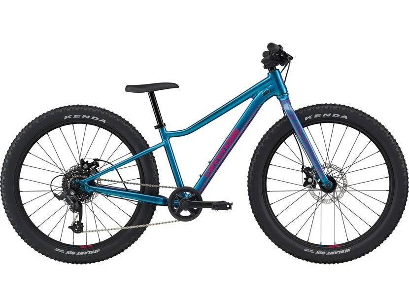 biker-boarder309921