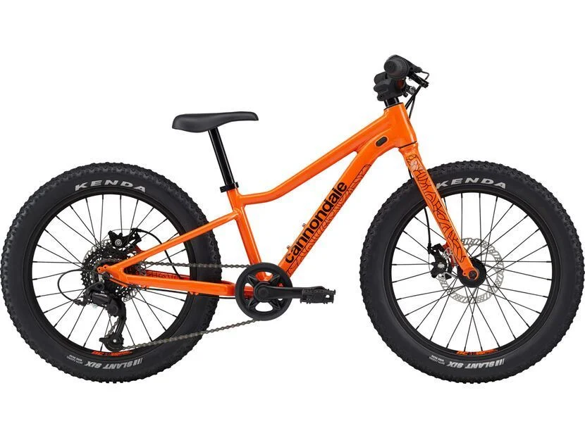 biker-boarder314631