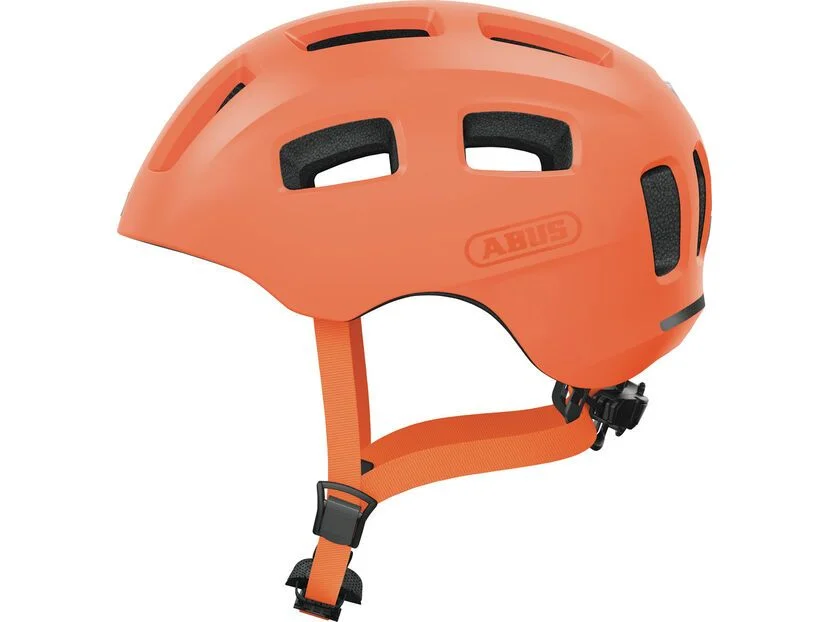 biker-boarder317447