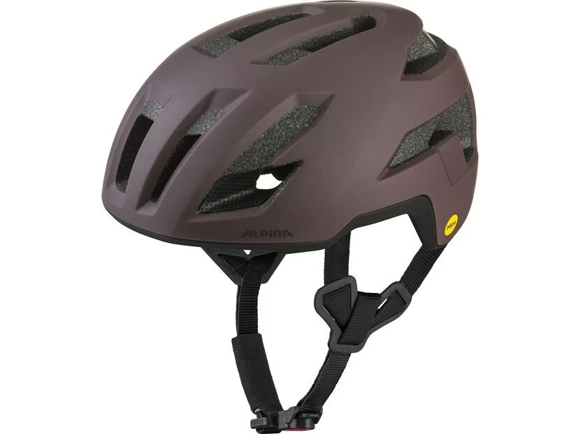 biker-boarder328958