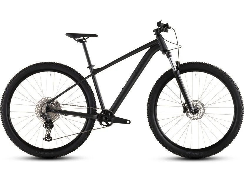 biker-boarder333213