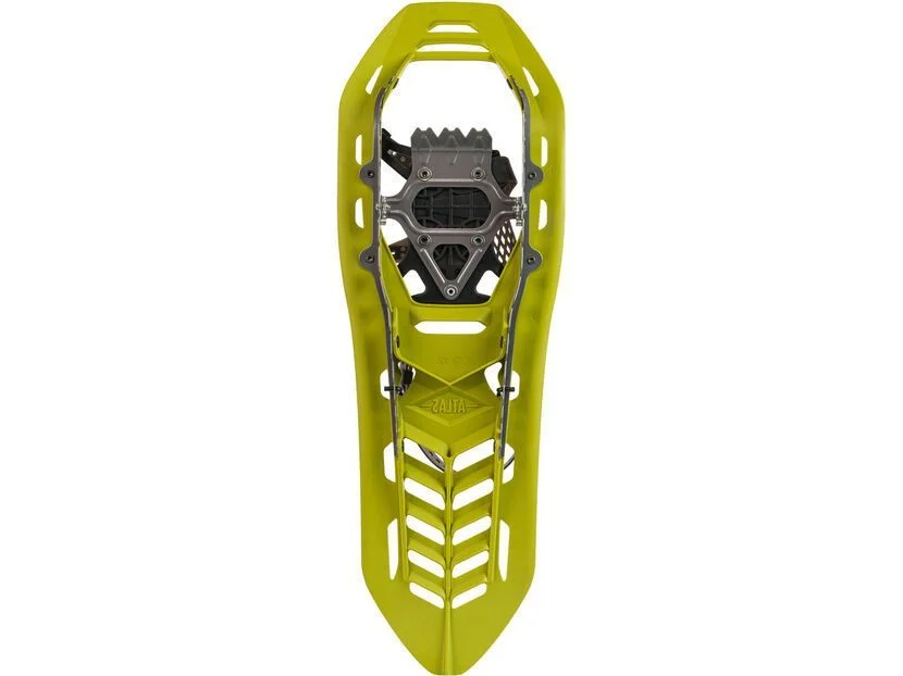 biker-boarder340392