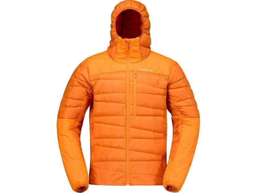 biker-boarder351302