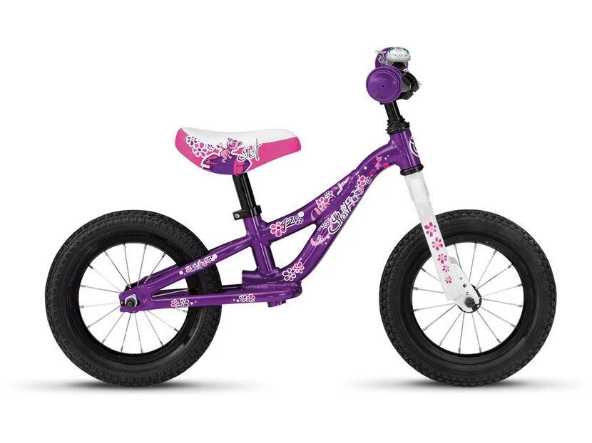 biker-boarder352006
