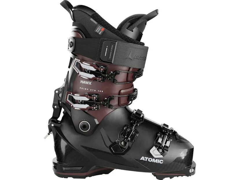 biker-boarder359406