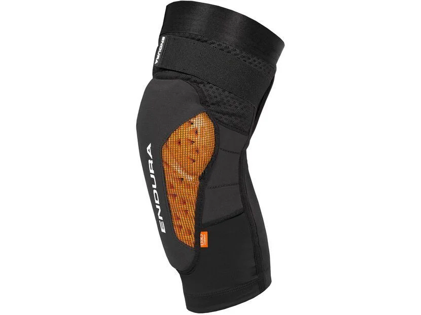 biker-boarder359596