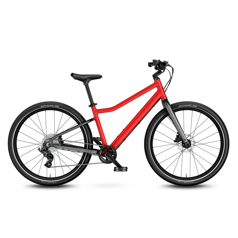 hirondellebikeshop3732289